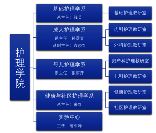 护理学院组织机构